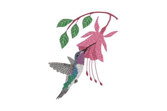 Hummingbird and Fuchsia Embroidery Review